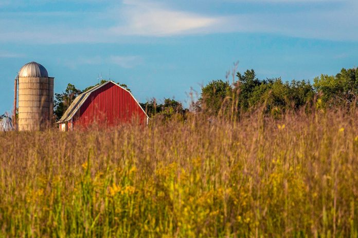 A barn behind a field.