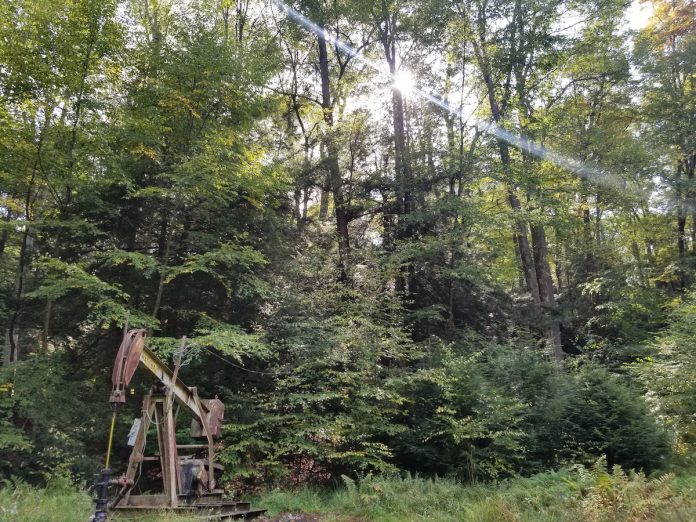 pump jack sits in a forest