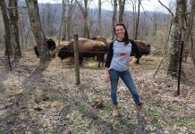West Virginia’s only commercial bison farm goes all in on agritourism buffalo farm