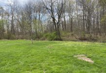 How to plant pear trees to produce fruit two pear trees, an apple tree and a peach tree