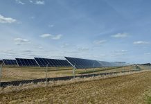 Vegetative cover under solar panels Solar panels