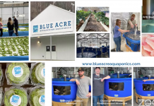 Town hall showcases opportunities for reclaimed mine land blue acre aquaponics screencap