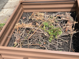 Jordan's raised bed garden