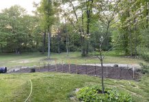 How to water your vegetable garden watered garden