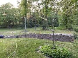 How to water your vegetable garden watered garden