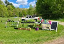 Researchers: Health care and child care hold back family farms kids at farmers market stand