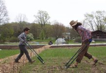 Partnerships, local connections keep Living City Farms growing Two farmers use broadforks to get their soil ready for planting.