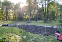 How to get the most out of the space in your garden garden