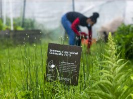 A woman gathers her things in the rain behind a sign for the Homewood Historical Community Farm, in Pittsburgh.