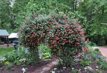 Enjoy the storybook setting of Beech Creek Botanical Garden Beech Creek Botanical Garden and Nature Preserve
