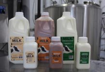 Cortland dairy responds to need for milk during pandemic milk lineup for denmandale dairy