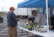 W.Va. farmers market a way for local farmers to grow together A farmer serves a customer at a farmers market.