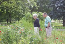 Let it bee: Salem, master gardeners make space for native pollinators A woman and a man look over plants in a pollinator garden.