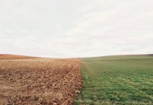 farmland