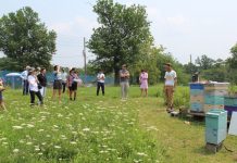 Pennsylvania urban agriculture grants open for applicants people looking at bee hives