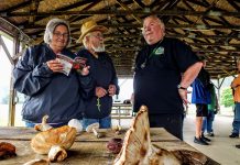 Fungi foray: Wild mushrooms are a key part of food chain Walt Sturgeon