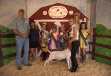 2021 Marshall County Fair sale Grand Champion Market Goat