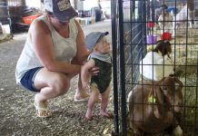 Fairgoers embrace traditions, try new things at Summit Co. Fair A woman and a child stand next to a goat pen at the fair.