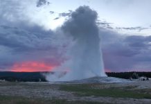 Yellowstone offers an overwhelming feast for the eyes Old Faithful