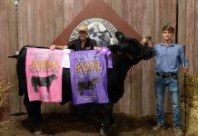 2021 Carroll County Fair sale Reserve Champion Market Steer
