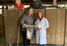 2021 Summit County Fair sale Grand Champion Rabbits