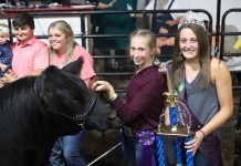2021 Columbiana County Fair sale Grand Champion Market Steer