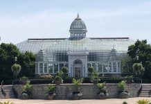 Making milestone memories in Columbus glass greenhouse at Franklin Park Conservatory