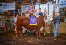 New records set at 2021 Butler Farm Show Grand Champion Market Beef