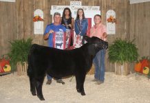 2021 Monroe County Fair sale Grand Champion Feeder Calf Steer