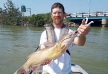 Summer is catfish time in Ohio channel catfish
