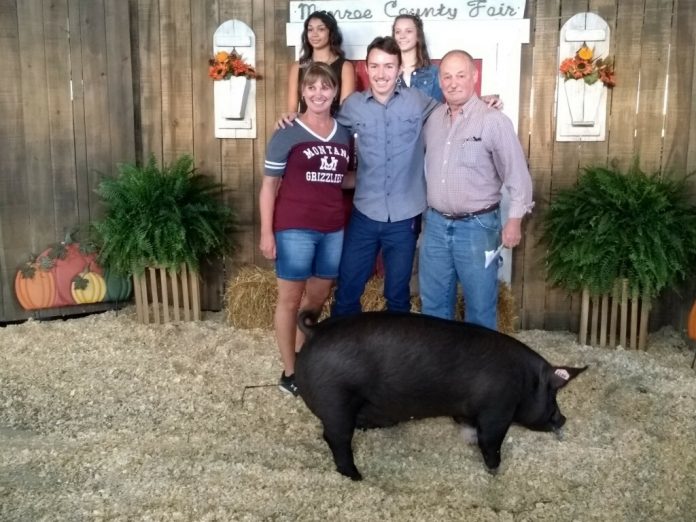 people standing with pig