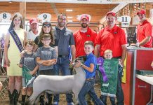 2021 Portage County Randolph Fair sale Grand Champion Lamb