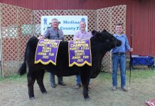 2021 Medina County Fair sale Grand Champion Steer