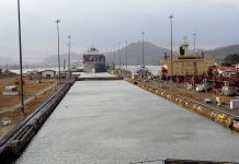 Roosevelt led creation of the Panama Canal panama canal