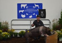 2021 Hookstown Fair sale Grand Champion Hog
