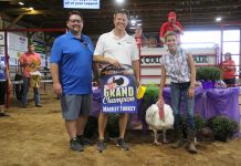 2021 Stark County Fair sale Grand Champion Turkey