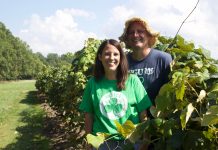 Molly’s Vineyard embraces traditions while trying new things A man and a woman stand in a vineyard.