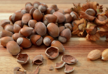 How to harvest and enjoy hazelnuts hazelnuts