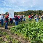 Ohio Sheep Day covered nutrition, animal handling sheep day forage plots