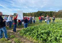 Ohio Sheep Day covered nutrition, animal handling sheep day forage plots