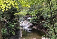 Adventure awaits at Jordan Creek Park in Ohio Jordan Creek Park