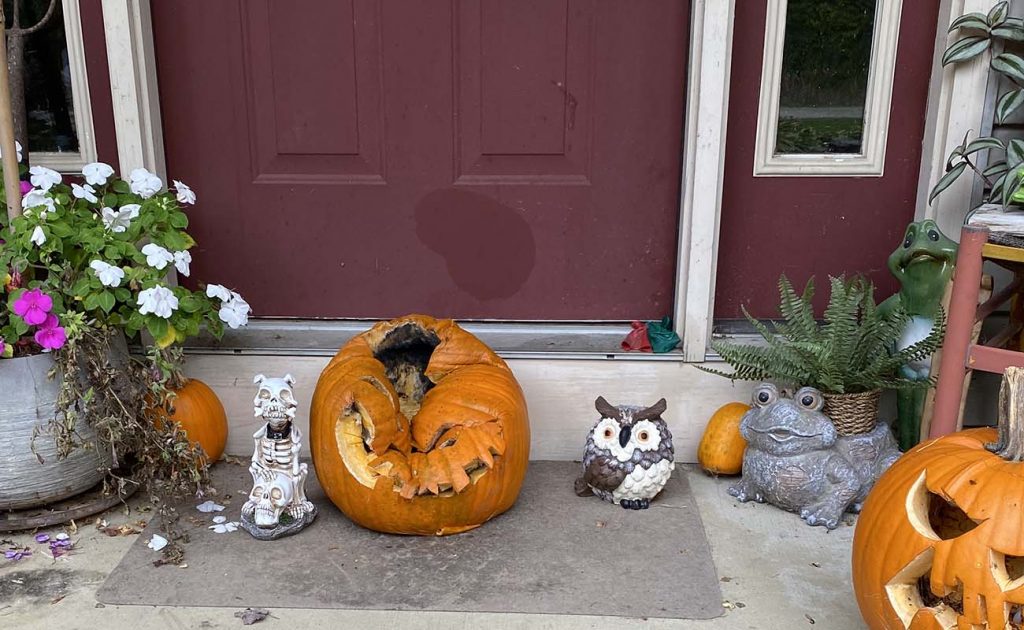 Rotted jack-o-lantern