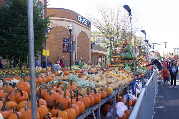 Pumpkins on display tables at a pumpkin show.