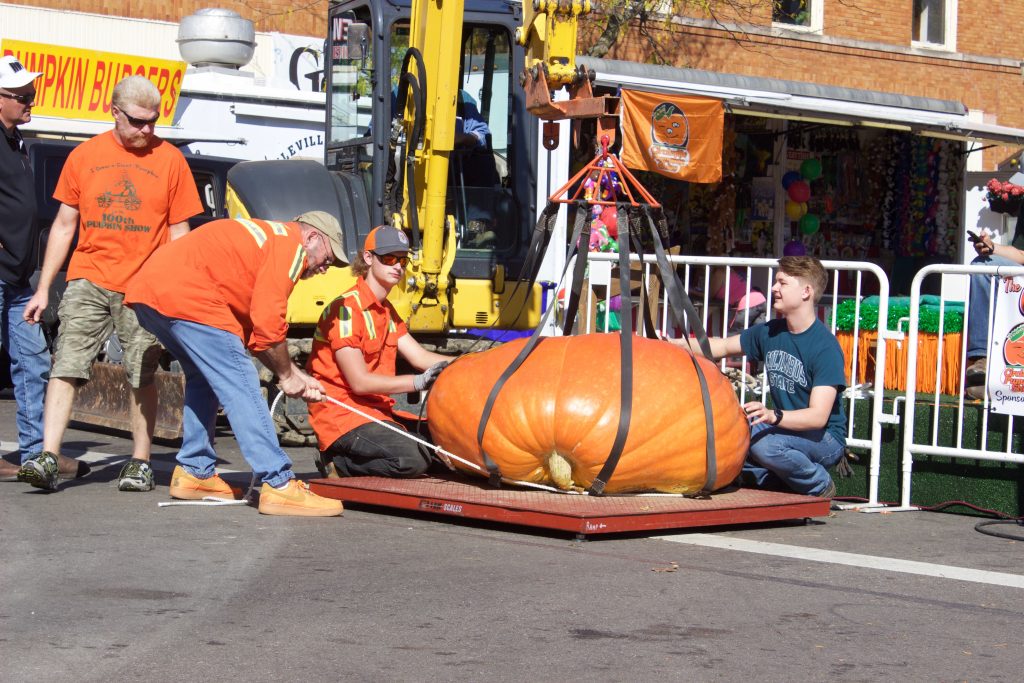 A crew uses an excavator to move a giant pumpkin onto a scale.