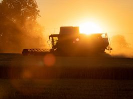 combine harvester