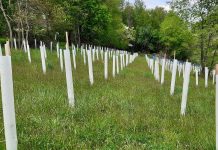 Planning and planting for wildlife planting for wildlife