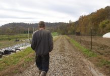 Big Wheeling Agrarian Center keeps food local, trains farmers A man walks down a road on a farm.