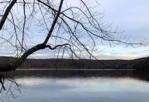 Taking time to wonder at Moraine State Park Sunken Garden Trail
