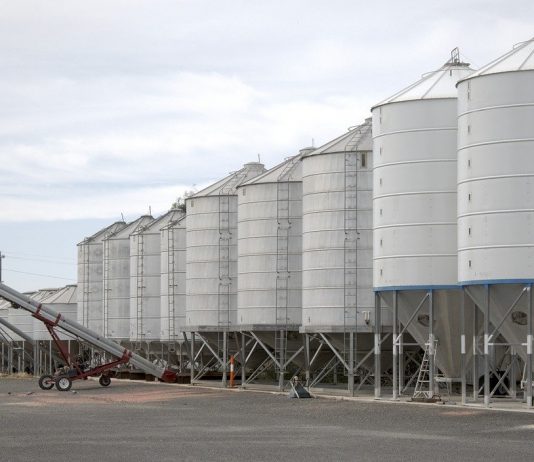 Grain markets still weak after USDA reports grain silos