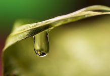 Be more aware of water in 2022 water drop